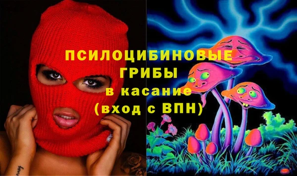 соль ск Каменск-Шахтинский