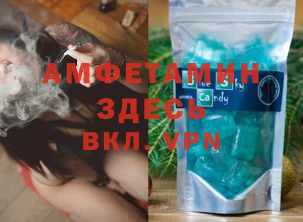PSILOCYBIN Каменка