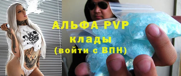 PSILOCYBIN Каменка